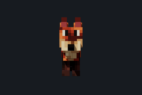 Fox from the front